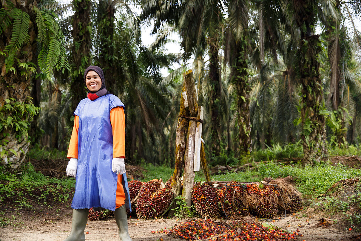 Ab Mai 2026 werden alle RSPO-zertifizierten Ölpalmenbauern verpflichtet sein, eine Human Rights Due Diligence durchzuführen, mit besonderem Fokus auf gefährdete Gruppen 