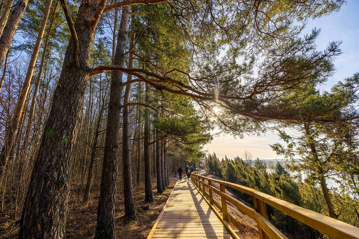 Wanderweg durch das Wacholdertal