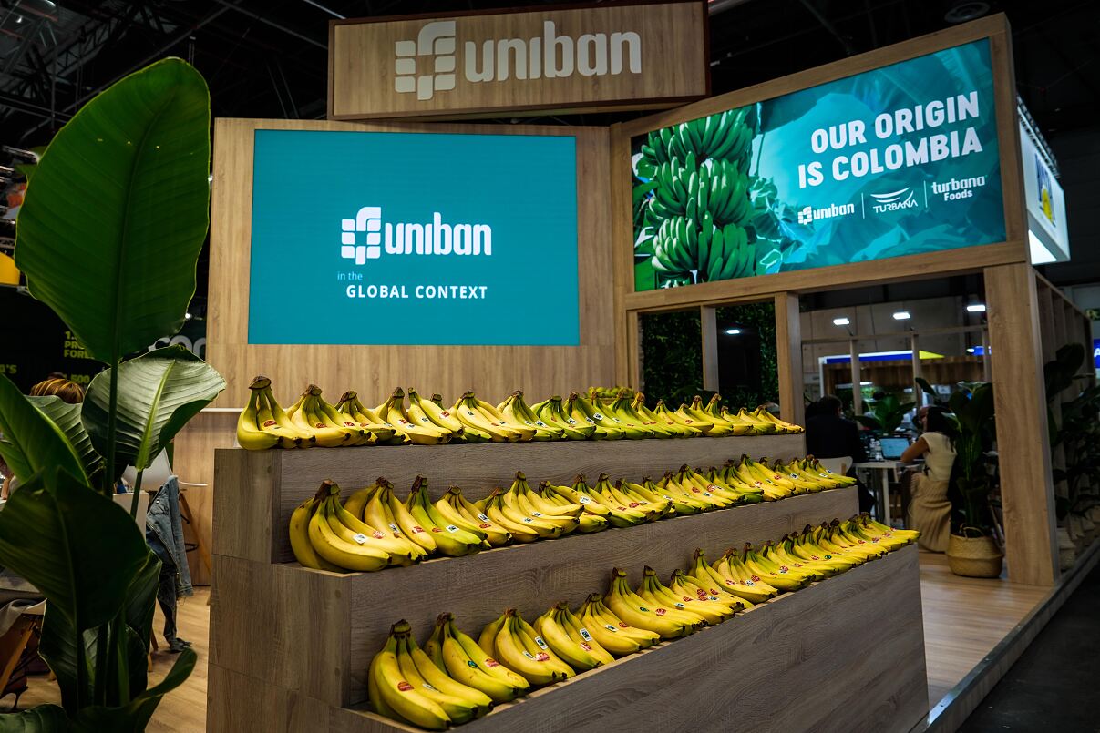 Uniban Logistics: Kolumbianische Bananen noch schneller nach Europa