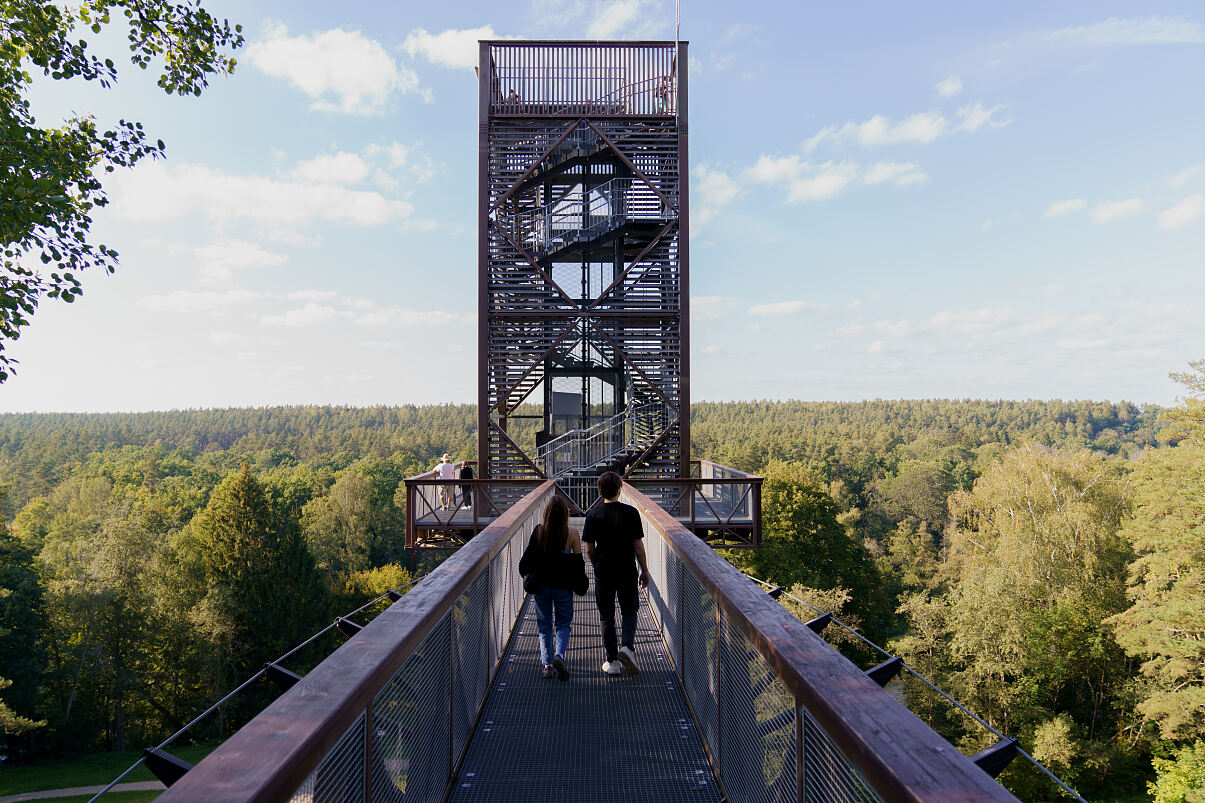 Der Baumwipfelpfad in Anykščiai mit Ausblick auf den Anykščiai-Wald und das Tal des Flusses Šventoji
