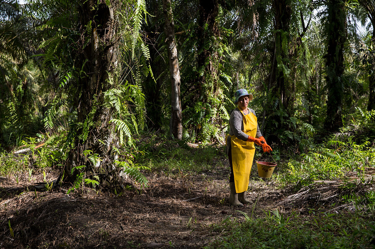 RSPO-zertifizierte Unternehmen leisten einen wichtigen Beitrag zum Schutz der Natur und zur Verringerung der negativen Auswirkungen der Palmölproduktion